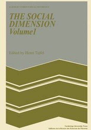 The Social Dimension: Volume 1