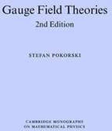 Gauge Field Theories