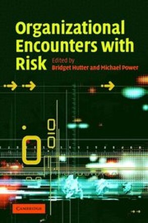 Organizational Encounters with Risk