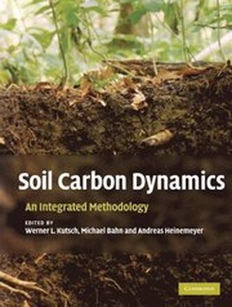 Soil Carbon Dynamics