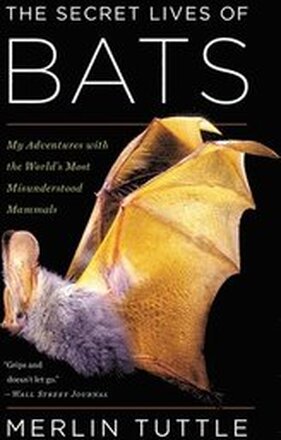 Secret Lives Of Bats