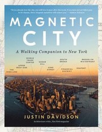 Magnetic City
