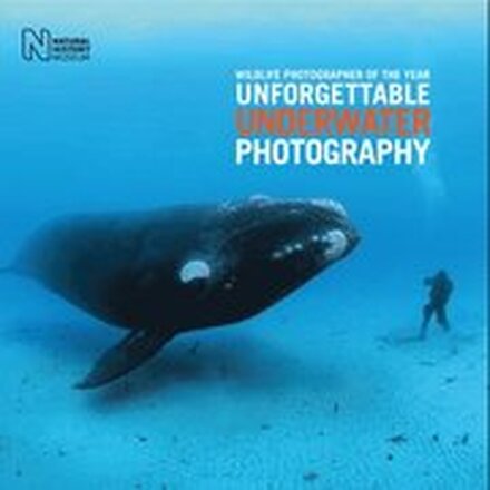 Wildlife Photographer of the Year: Unforgettable Underwater Photography