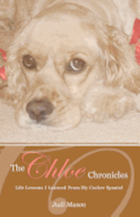 The Chloe Chronicles: Life Lessons I Learned From My Cocker Spaniel