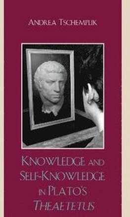 Knowledge and Self-Knowledge in Plato's Theaetetus