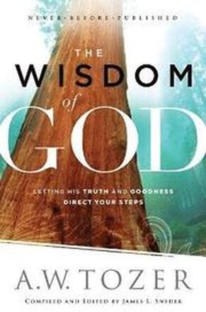 The Wisdom of God Letting His Truth and Goodness Direct Your Steps