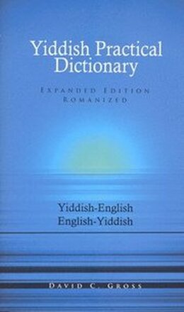 English-Yiddish/Yiddish-English Practical Dictionary (Expanded Romanized Edition)