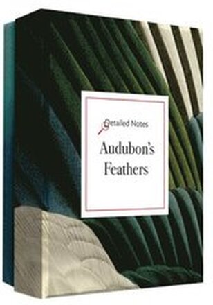 Audubon's Feathers
