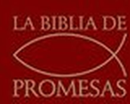 Santa Biblia de Promesas Reina-Valera 1960 / Económica / Rústica / Color Vino // Spanish Promise Bible Rvr 1960 / Economy / Paperback / Burgundy