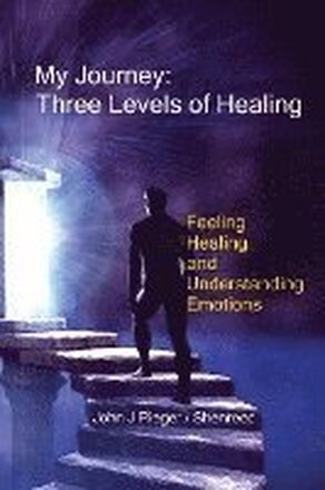 My Journey - Three Levels of Healing: Feeling, healing and understanding Emotions