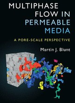 Multiphase Flow in Permeable Media