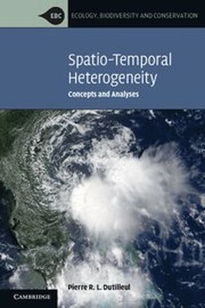 Spatio-Temporal Heterogeneity