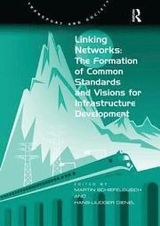 Linking Networks: The Formation of Common Standards and Visions for Infrastructure Development