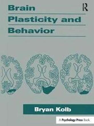 Brain Plasticity and Behavior