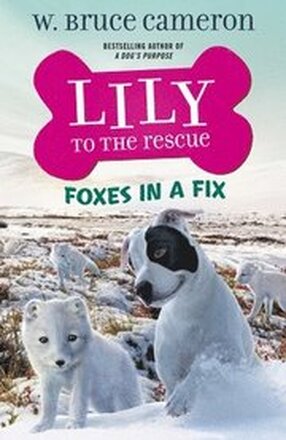 Lily To The Rescue: Foxes In A Fix