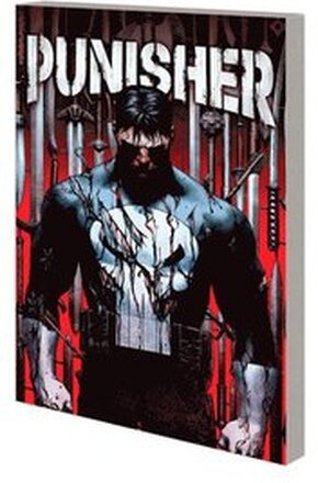 Punisher Vol. 1