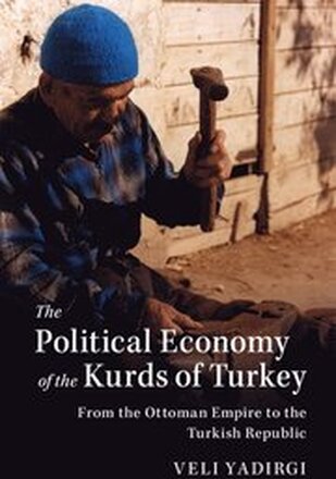 The Political Economy of the Kurds of Turkey