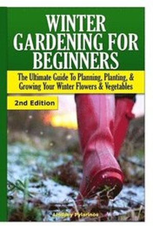 Winter Gardening for Beginners