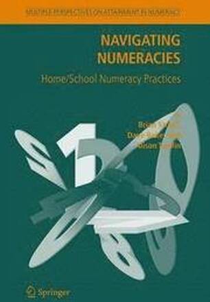 Navigating Numeracies