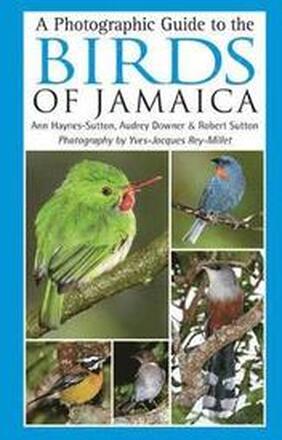 A Photographic Guide to the Birds of Jamaica