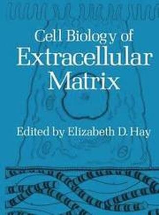 Cell Biology of Extracellular Matrix