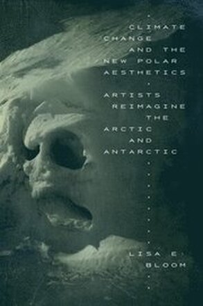 Climate Change and the New Polar Aesthetics