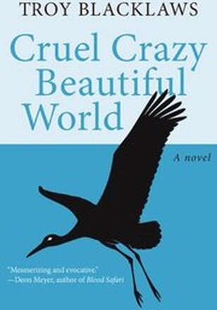 Cruel Crazy Beautiful World