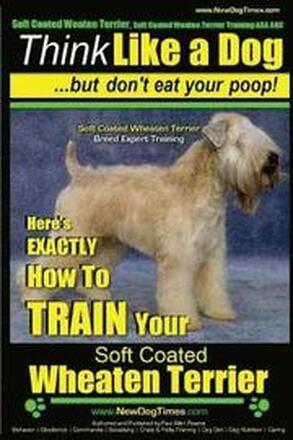 Soft Coated Wheaten Terrier, Soft Coated Wheaten Terrier Training AAA AKC Think Like a Dog But Don't Eat Your Poop! Soft Coated Wheaten Terrier Breed