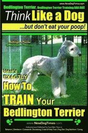 Bedlington Terrier, Bedlington Terrier Training AAA AKC: Think Like a Dog But Don't Eat Your Poop! Bedlington Terrier Breed Expert Training: Here's EX
