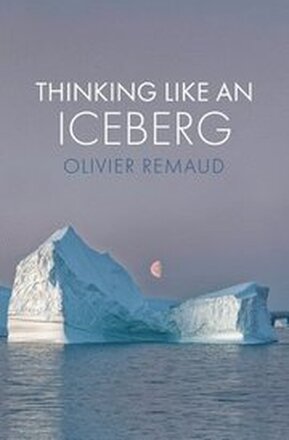Thinking Like an Iceberg