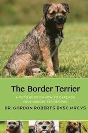 The Border Terrier: A vet's guide on how to care for your Border Terrier dog