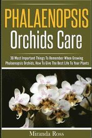 Phalaenopsis Orchids Care: 30 Most Important Things To Remember When Growing Phalaenopsis Orchids