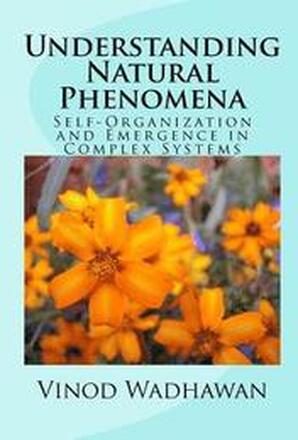 Understanding Natural Phenomena: Self-Organization and Emergence in Complex Systems