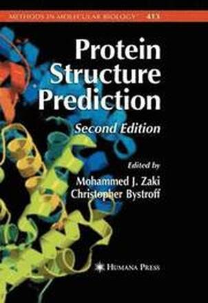 Protein Structure Prediction