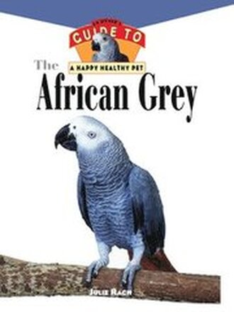 The African Grey