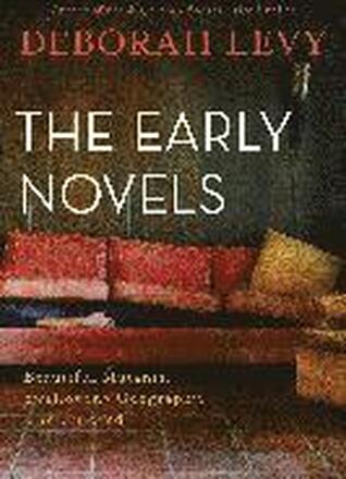 The Early Novels: Beautiful Mutants, Swallowing Geography, the Unloved