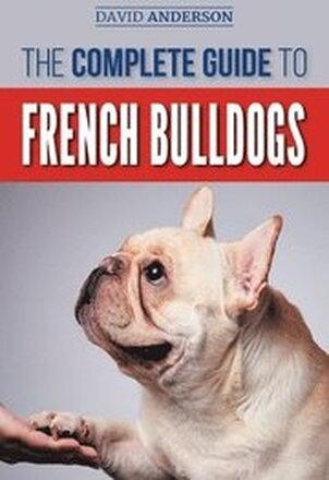 The Complete Guide to French Bulldogs