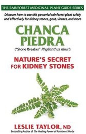 Chanca Piedra: Nature's Secret for Kidney Stones