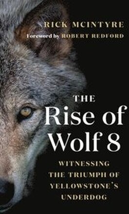 The Rise of Wolf 8