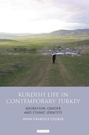 Kurdish Life in Contemporary Turkey