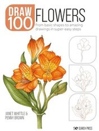 Draw 100: Flowers
