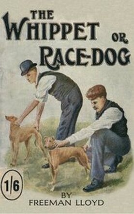 The Whippet or Race Dog