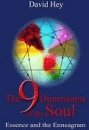 9 Dimensions of the Soul, The Essence and the Enneagram