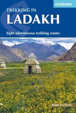 Trekking in Ladakh