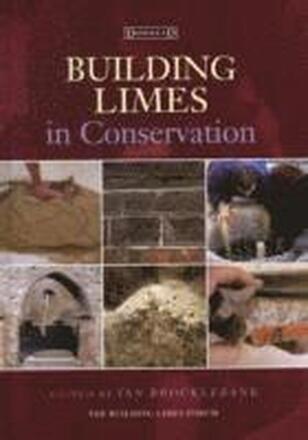 Building Limes in Conservation