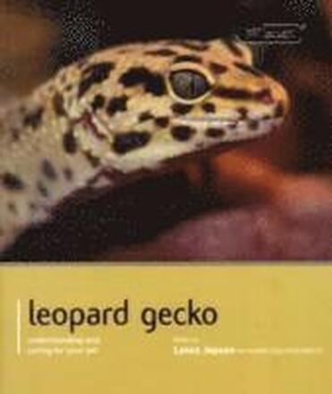 Leopard Gecko - Pet Expert