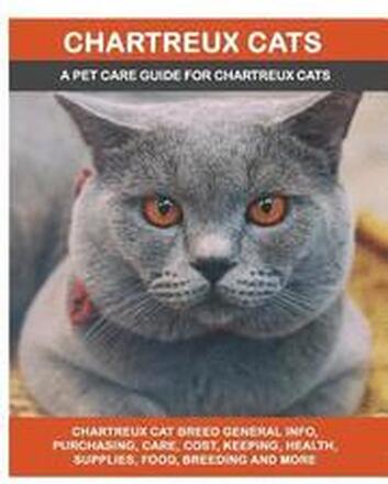 Chartreux Cats: Chartreux Cat Breed General Info, Purchasing, Care, Cost, Keeping, Health, Supplies, Food, Breeding and More Included!