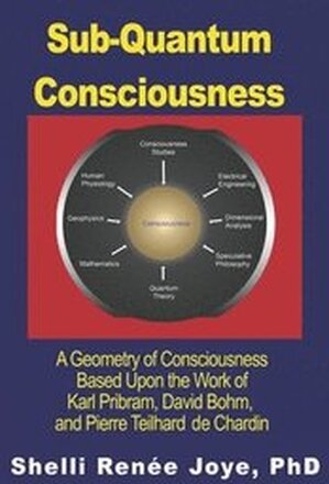 Sub-Quantum Consciousness: A Geometry of Consciousness Based Upon the Work of Karl Pribram, David Bohm, and Pierre Teilhard De Chardin