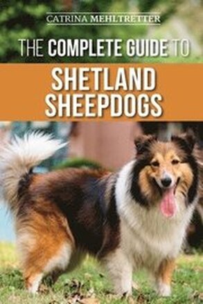 The Complete Guide to Shetland Sheepdogs