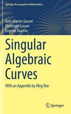 Singular Algebraic Curves